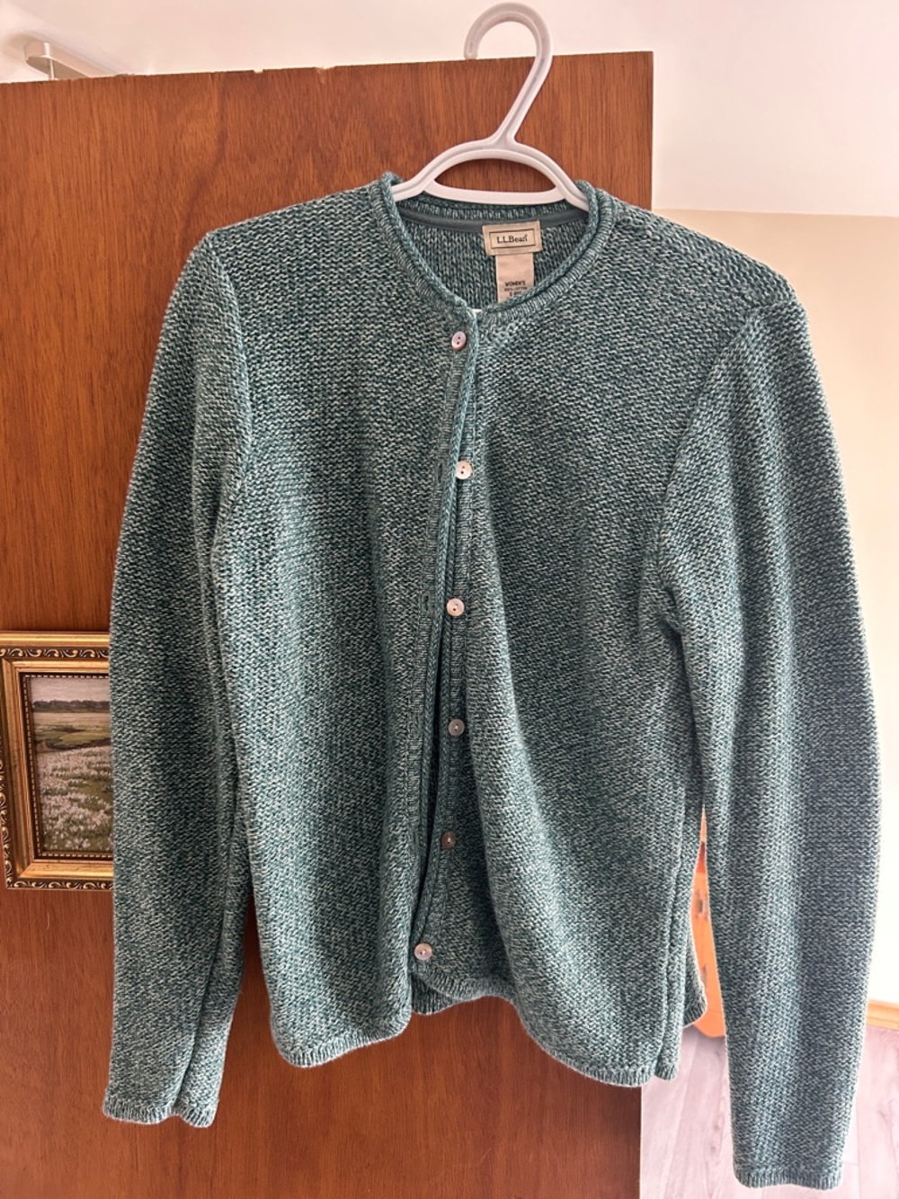 L.L. Bean Men's Teal Button-Front Cardigan Sweater